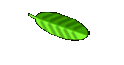 Links